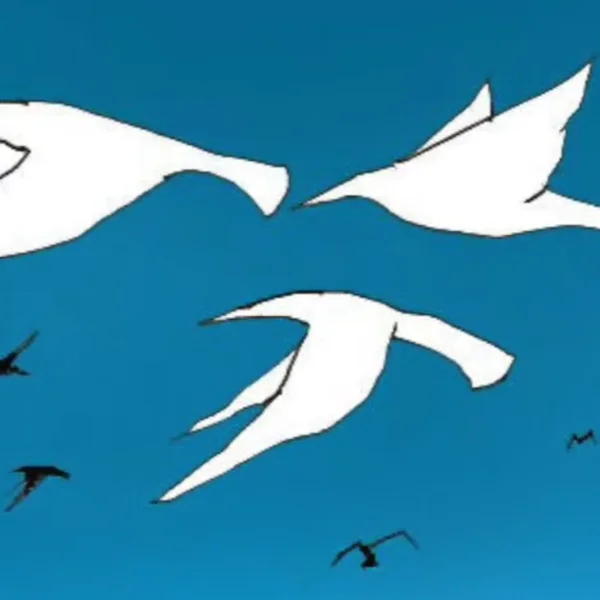 Jonathan Livingston Seagull